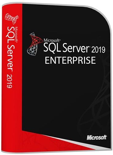 Microsoft WINDOWS SQL SERVER 2019 ENTERPRISE CALS INCLUSE