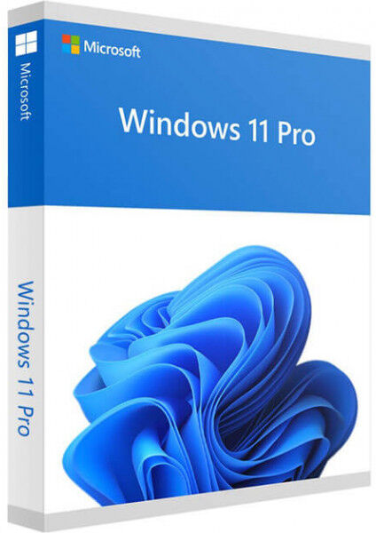 Windows 11 Professional 64 bit - Licenza Microsoft