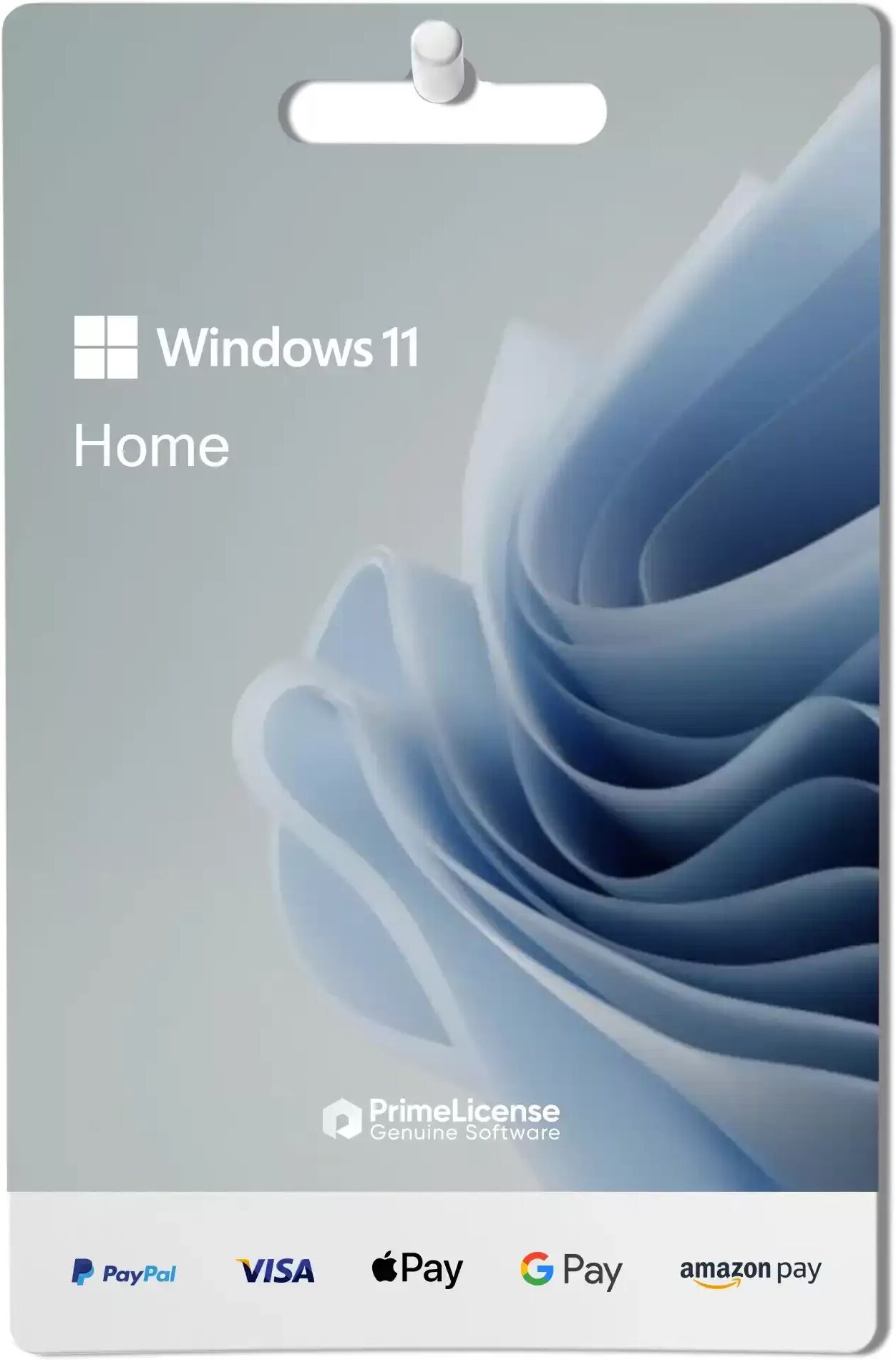 Microsoft Windows 11 Home