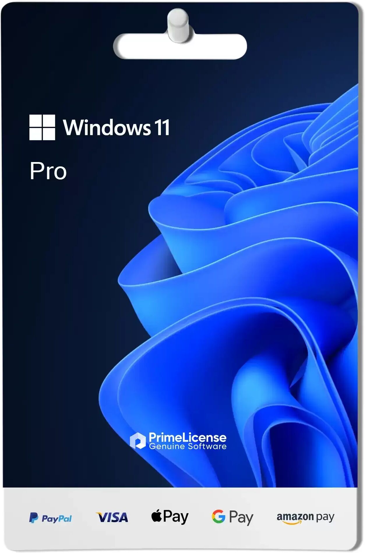 Microsoft Windows 11 Professional