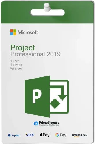 Microsoft Project Pro 2019