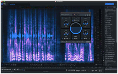 iZotope RX 10 Standard EDU