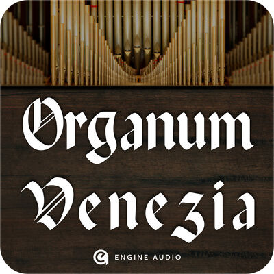 Best Service Organum Venezia