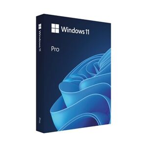 Microsoft Windows 11 PRO