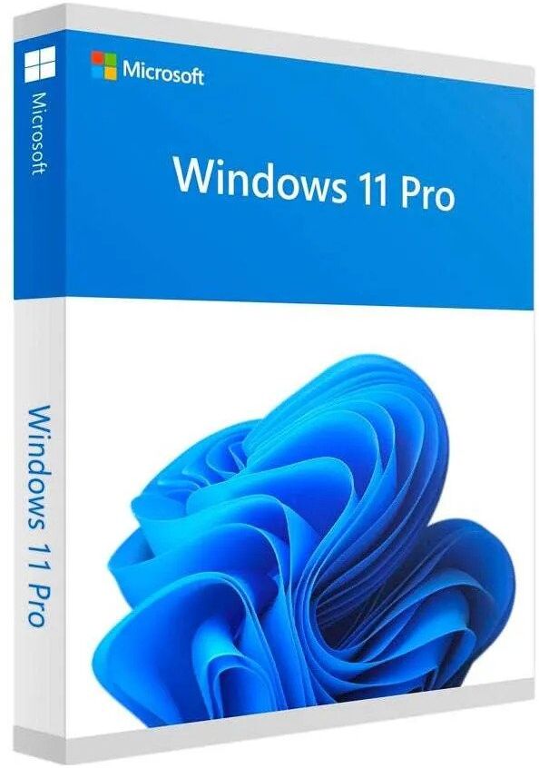 Microsoft Windows 11 Professional