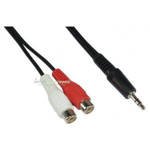 Intos Inline 2 X Rca Hun - 3,5 Mm Han -Kabel, 2 M