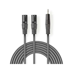 Nedis Câble Audio Xlr 2x Xlr Mâles à 3 Broches - 3,5 Mm Mâle 3,0 M Gris Usage Non Intensif Nedis