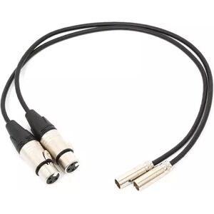 Blackmagic DESIGN Cables Audio 2X Mini XLR-XLR