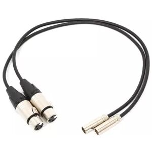 Blackmagic DESIGN Câbles Audio 2X Mini XLR-XLR