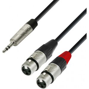 Adam Hall Cables 4 STAR YWFF 0180 - Câble Audio REAN Mini-Jack 3,5 mm stéréo vers 2 x XLR - Câbles Adaptateurs