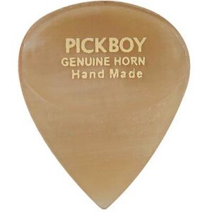 Pickboy GPHN-1 - Exotic Horn Pick