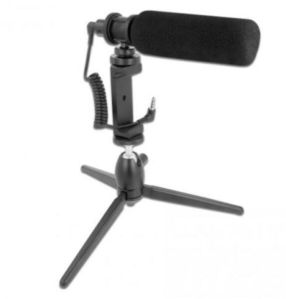 DeLock 66582 - Vlog Shotgun Mikrofon Set für Smartphones und DSLR Kameras