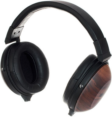 Fostex TH-610