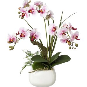 kaiserkraft Phalaenopsis, real touch, altura 460 mm, flores lilas