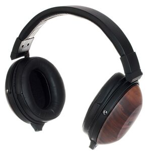 Fostex TH-610