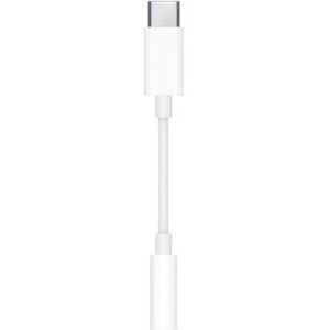 Apple Câbles informatiques/ ADAPTATEUR USB-C VERS MINI JACK 3.5MM