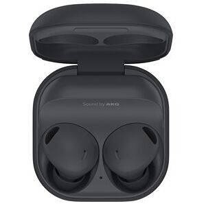 Samsung Galaxy Buds2 Pro Graphite