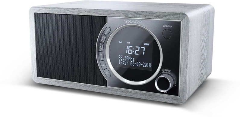 Sharp DR-450 radio Personale Digitale Grigio, Acciaio inossidabile