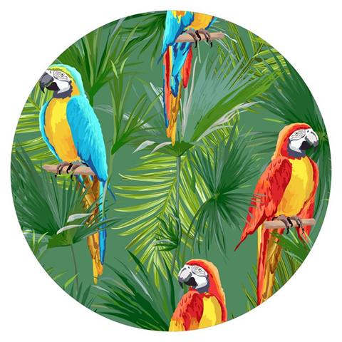 Age Print Panno Feltro Per Giradischi Tropical Parrots Slipmat