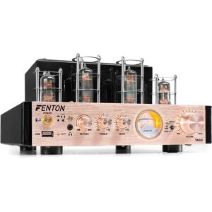 Fenton Amplificateur à tubes hybride stéréo Fenton TA60 - Amplificateurs de puissance bicanaux