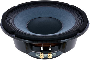 Fender Speaker 10 16 Ohms