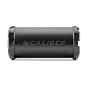 Caliber Drahtloser Lautsprecher mit Bluetooth USB und Akku- USA (HPG407BT-USA)