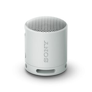 Bærbare Bluetooth-højttalere Sony SRSXB100H Grå