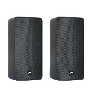 Omnitronic ODP-206T Installation Speaker 100V black 2x TILBUD NU