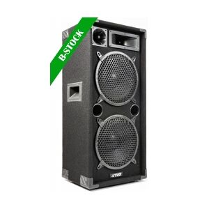MAX210 Speaker 2x10