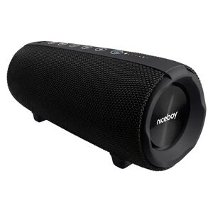 Niceboy Raze 3 Titan 50W Radio & Bluetooth Højtaler - Sort