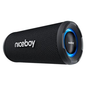Niceboy RAZE 5 Origin 20W Radio & Bluetooth Højtaler - Sort