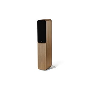 Q Acoustics Q 5040 Eg