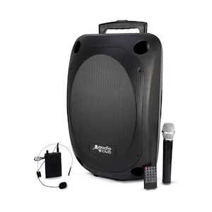 Enceinte Professionnel Portative 12