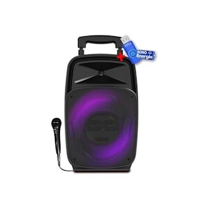 iDance Enceinte IDANCE GROOVE 220 Bass REFLEX de 100W - Lecteur USB, Bluetooth - Autonome sur batterie - LED +clé USB 32Go