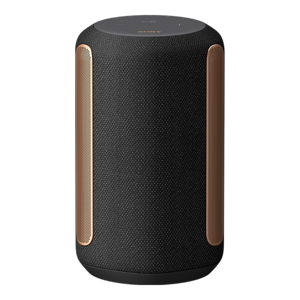 Sony Enceinte Sans Fil Premium SRS-RA3000 Avec Son Ambiant Immersif in Noir