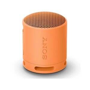 Sony CASSA BLUETOOTH  SRSXB100D