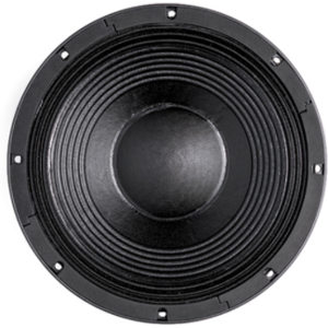 B&c Speakers 12TBX100