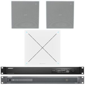 Bose ES1 Konferenz Bundle