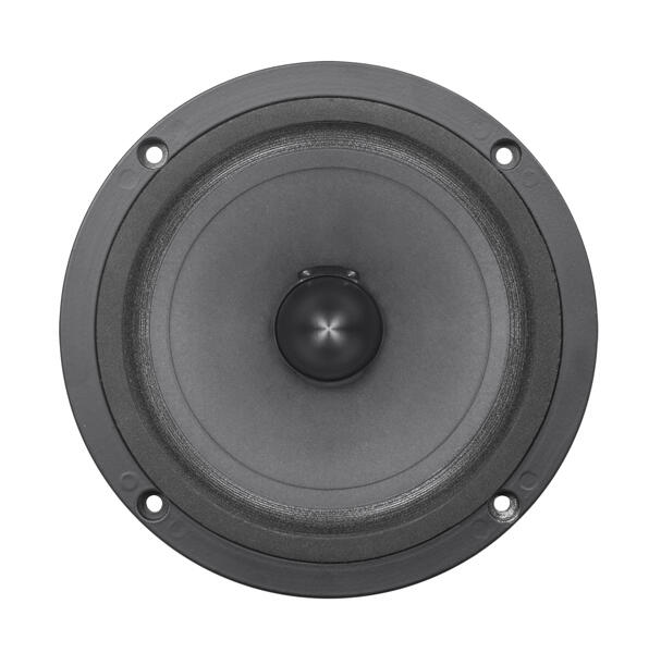 B&c Speakers 6PEV13 - 8Ω