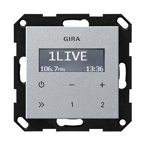 Gira UP-Radio RDS 228426