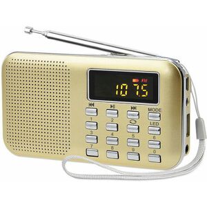 Amirror Smart Ug - Tragbares Radio, fm am Akku- und Netzradio, MP3, Lautsprecher, TF-Karte/USB-Halterung, Taschenlampe, geeignet (Gold)