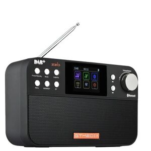 SupplySwap DAB-radio, Bluetooth-højttaler, genopladeligt batteri, GTMEDIA Z3B