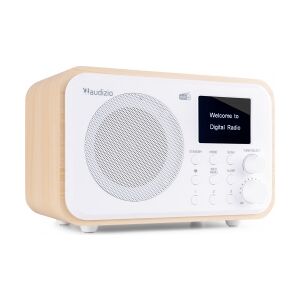 DAB Radio 'Luxus- og Transportabel Radio' DAB/DAB+/FM/Bluetooth modtager og højt