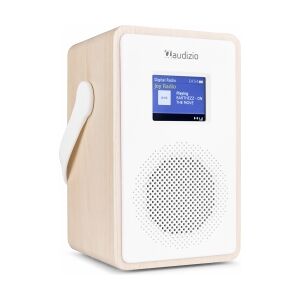 Transportabel DAB Radio og Bluetooth højttaler, simpel og brugervenlig, DAB/DAB+