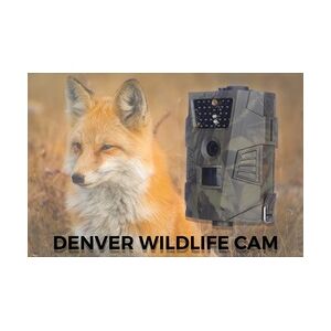 Denver Wild- und Überwachungskamera WCT-5001 12 Megapixel, grün-braun