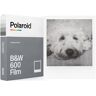 POLAROID 600 Preto e Branco (8 Poses) (Polaro�d 600)