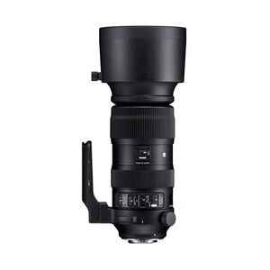 Sigma 60-600mm f4,5-6,3 DG OS HSM (S) Canon