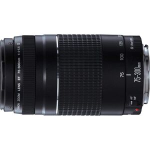 Canon EF 75-300mm f/4-5.6 III