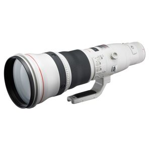 Canon EF 800mm f/5.6L USM IS- Garanzia Ufficiale Italia