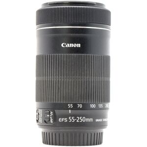 Canon EF-S 55-250mm f/4-5.6 IS STM (Condition: Excellent)